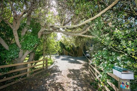 Photo of property in 17 Bell Street, Clive, 4102