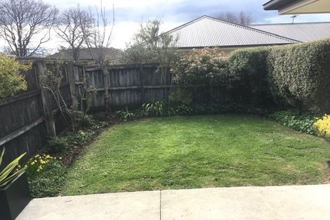 Photo of property in 8d Albert Terrace, Saint Martins, Christchurch, 8022