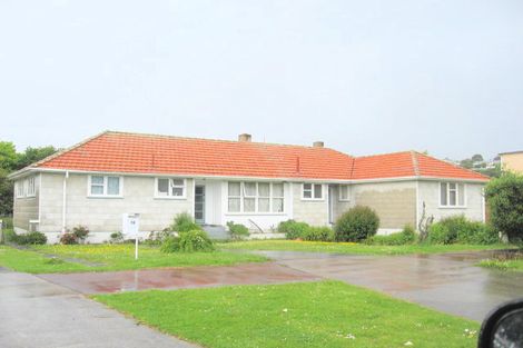 Photo of property in 18-20 Ivanhoe Road, Grey Lynn, Auckland, 1021