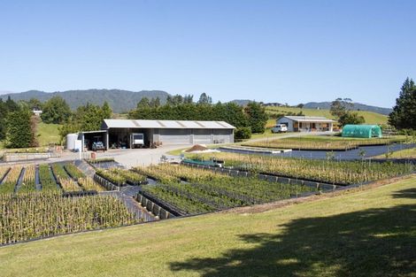 Photo of property in 67 Busby Road, Katikati, 3170