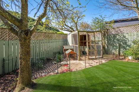 Photo of property in 3 Webster Place, Picton, 7220