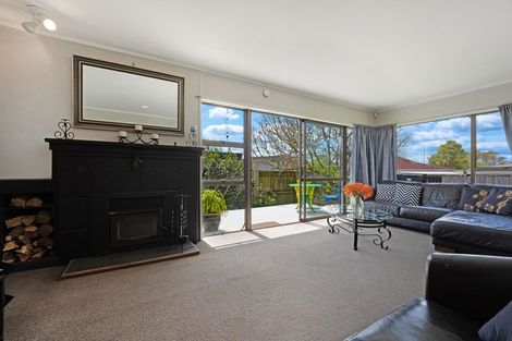 Photo of property in 3 Revell Court, Pukekohe, 2120