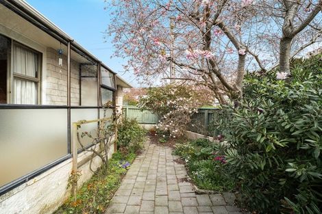 Photo of property in 235c Bay View Road, Saint Clair, Dunedin, 9012