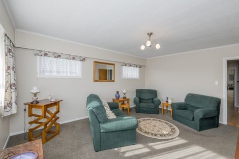 Photo of property in 78 Winchester Street, Levin, 5510