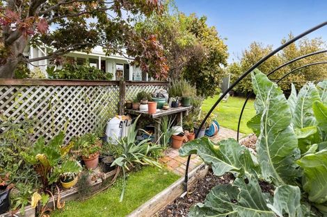 Photo of property in 6 Belvue Crescent, Witherlea, Blenheim, 7201