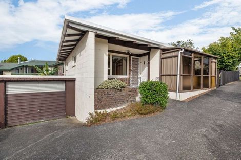 Photo of property in 1/5 Eyre Street, Henderson, Auckland, 0612