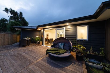 Photo of property in 68b Manson Street, Terrace End, Palmerston North, 4410