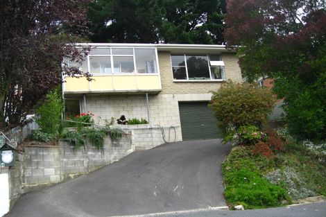 Photo of property in 4 Sidey Street, Calton Hill, Dunedin, 9012
