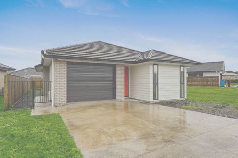 Photo of property in 68 Hinemoa Street, Levin, 5510