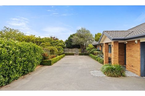 Photo of property in 17 Sutton Place, Dallington, Christchurch, 8061