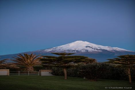 Photo of property in 77 Anglers Avenue, Warea, New Plymouth, 4381