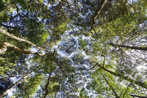 Photo of property in 108 Hadfield Street, Beach Haven, Auckland, 0626