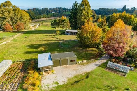 Photo of property in 12 Palmer Mill Road, Wairakei, Taupo, 3384