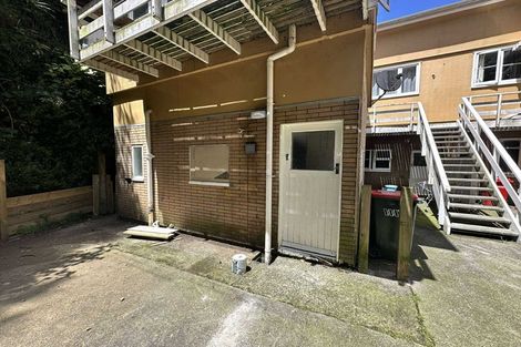 Photo of property in 142 Aro Street, Aro Valley, Wellington, 6021