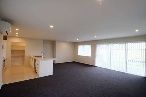 Photo of property in 132 Northbrook Road, Rangiora, 7400
