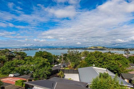 Photo of property in 49 Goodall Street, Hillsborough, Auckland, 1042