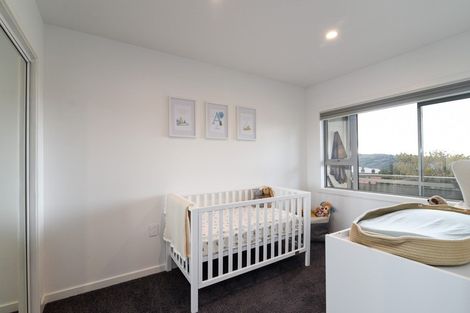 Photo of property in 19a Sheen Street, Roslyn, Dunedin, 9010