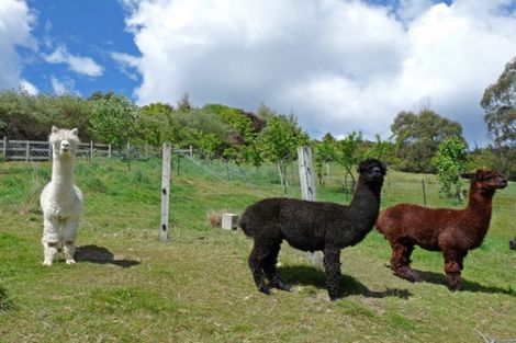 Photo of property in 8 Hooper Place, Wakefield, 7025