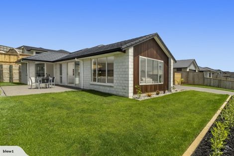 Photo of property in 80 Bert Wall Drive, Omokoroa, 3114