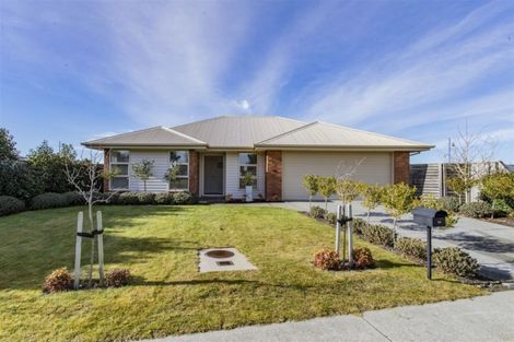 Photo of property in 24 Nga Tupuna Street, Pegasus, 7612