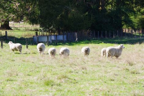 Photo of property in 36 Hurunui Lane, Kinloch, Taupo, 3377