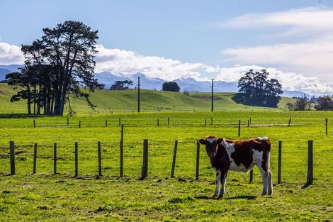 Photo of property in 76330 State Highway 2, Matamau, Dannevirke, 4977
