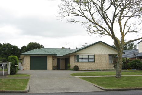 Photo of property in 3 Puni Road, Pukekohe, 2120