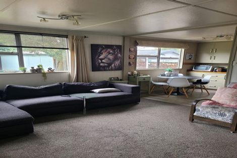 Photo of property in 29 Hopkins Road, Twizel, 7901