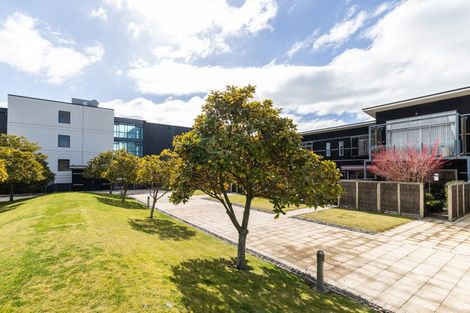 Photo of property in The Terraces, 31/9 Humber Street, Pandora, Napier, 4110