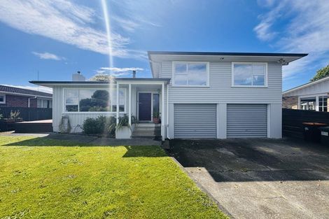 Photo of property in 60 Newcastle Street, Hokowhitu, Palmerston North, 4410