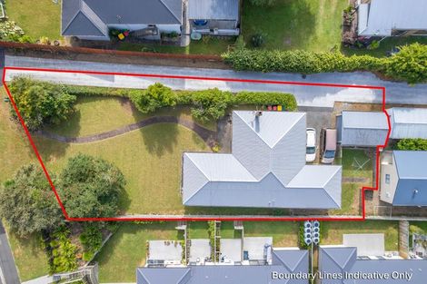 Photo of property in 51 Mahoe Street, Melville, Hamilton, 3206