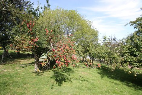 Photo of property in 32 Paterson Road, Mosgiel, 9092