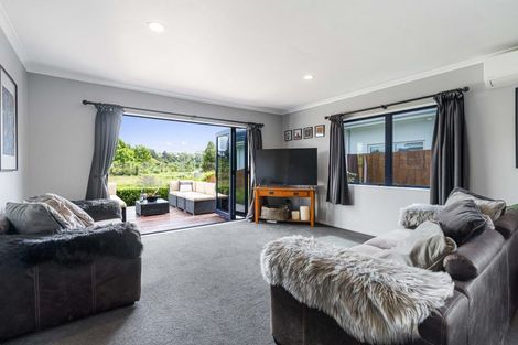 Photo of property in 91 Solomon Street, Brookfield, Tauranga, 3110