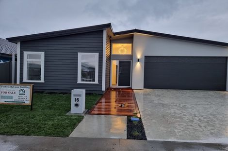 Photo of property in 16 Ruapehu Road, Poraiti, Napier, 4112