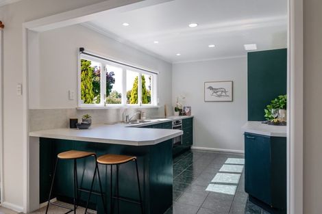 Photo of property in 14 Napier Road, Terrace End, Palmerston North, 4410