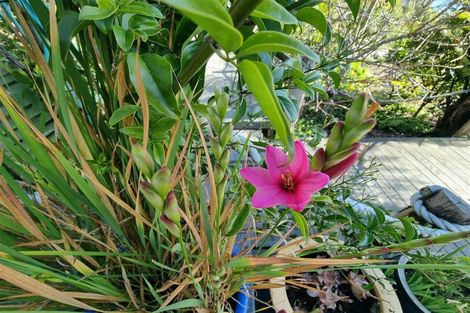 Photo of property in Willow Bay, Mahau Sound, Marlborough Sounds, 7282