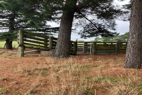 Photo of property in 126 Norfolk Road, Waingawa, Carterton, 5791