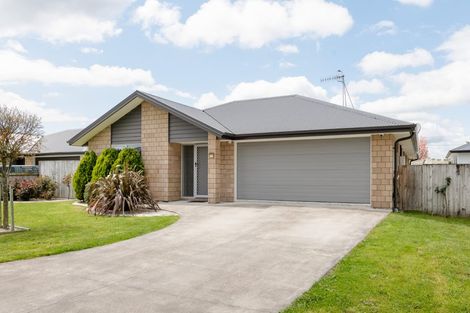 Photo of property in 15 Astor Avenue, Dinsdale, Hamilton, 3204