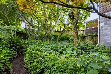 Photo of property in 25 Saxton Road, Upper Vogeltown, New Plymouth, 4310