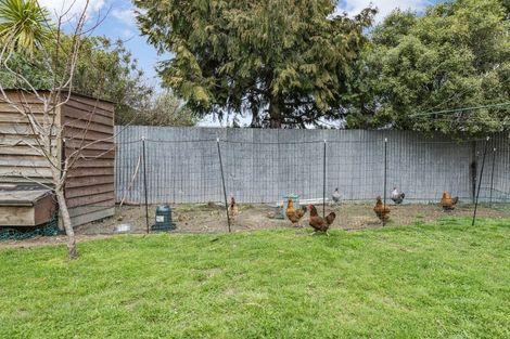 Photo of property in 3 Ritso Street, Darfield, 7510