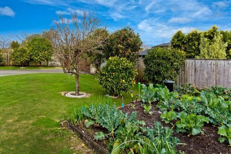 Photo of property in 50 Rame Road, Greenhithe, Auckland, 0632