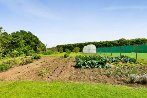 Photo of property in 219 Brown Road, Brixton, Waitara, 4382