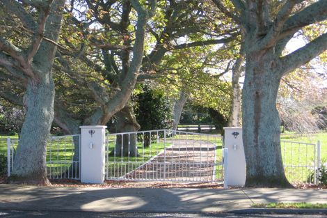 Photo of property in 483c Thames Street, Morrinsville, 3300