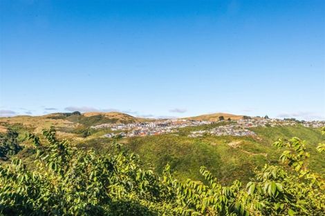 Photo of property in 17 Maracas Crescent, Grenada Village, Wellington, 6037