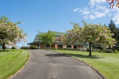 Photo of property in 445 Clearwater Lane, Rangatira Park, Taupo, 3384