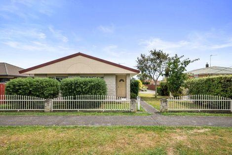 Photo of property in 65 Winchester Street, Levin, 5510
