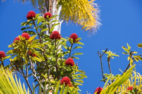 Photo of property in 61 Pinehurst Drive, Pauanui, Hikuai, 3579