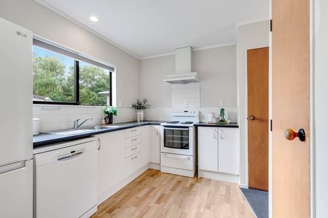Photo of property in 13 Horne Street, Hamilton Central, Hamilton, 3204