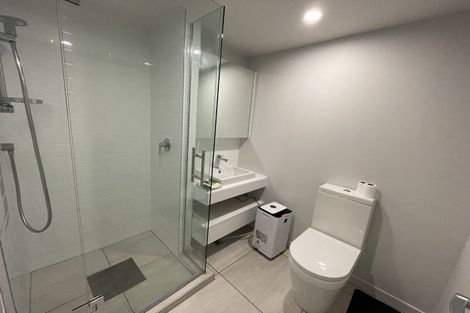 Photo of property in Pinnacle Apartments, E104/160 Victoria Street, Te Aro, Wellington, 6011