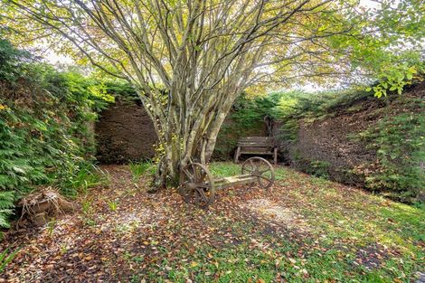 Photo of property in 64 Geelong Street, Waikouaiti, 9510